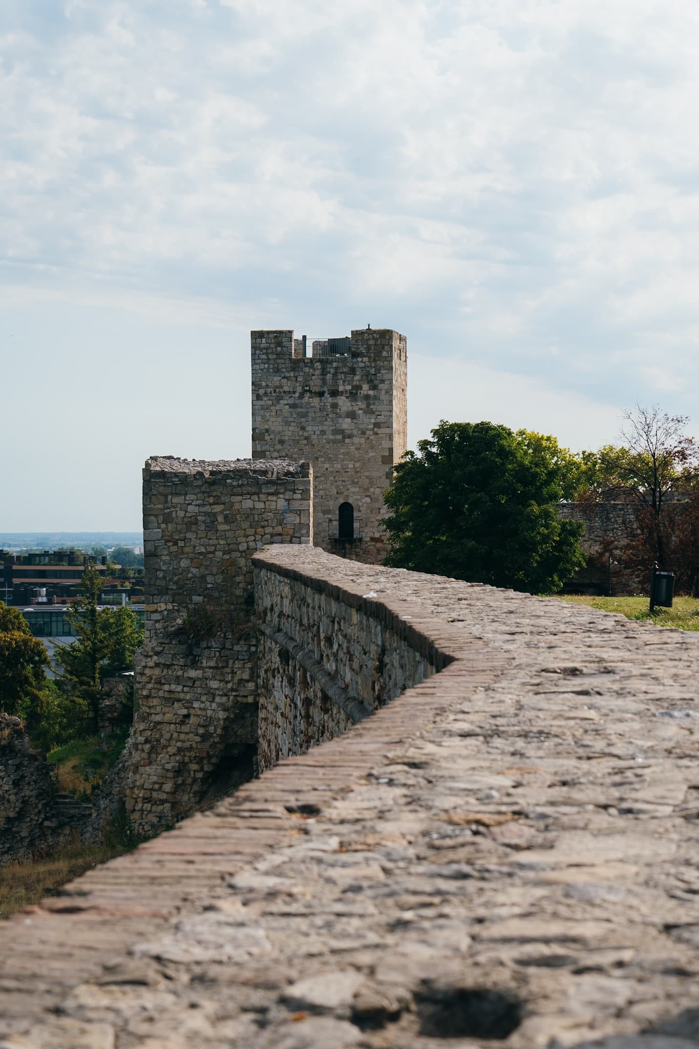 Nealey's latest photo